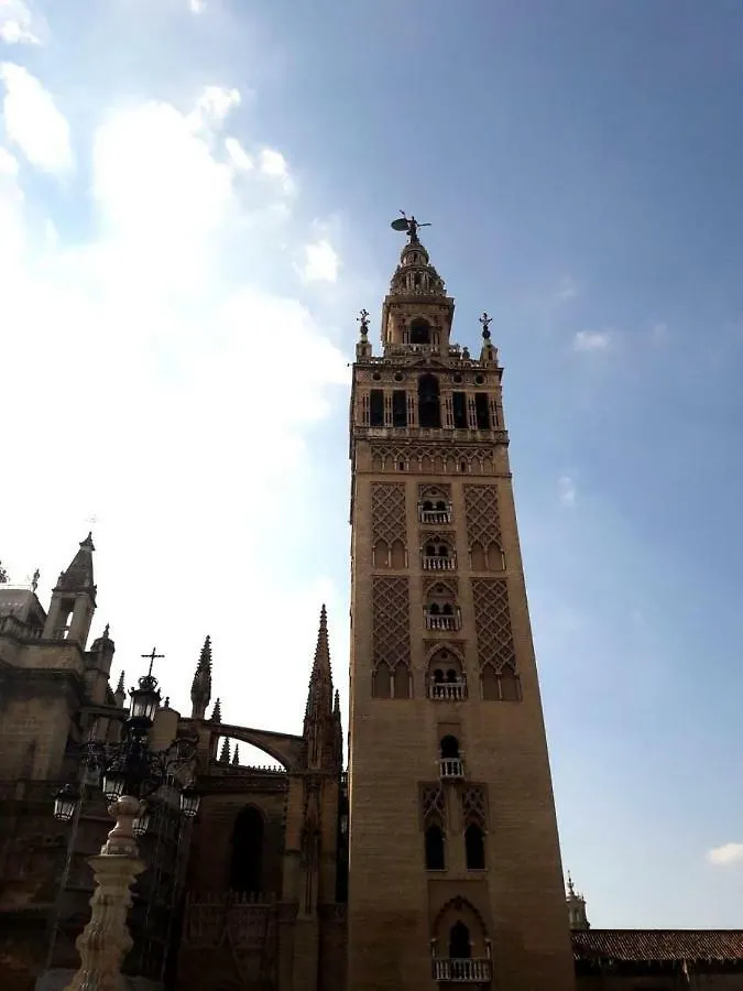 Nool Sevilla